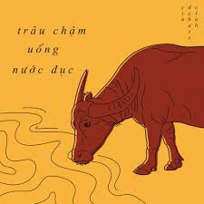 Trâu chậm uống nước trong