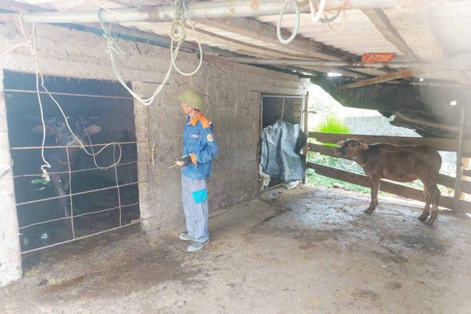 Trau chuốc: Nghệ thuật nâng tầm vẻ đẹp và sự hoàn thiện