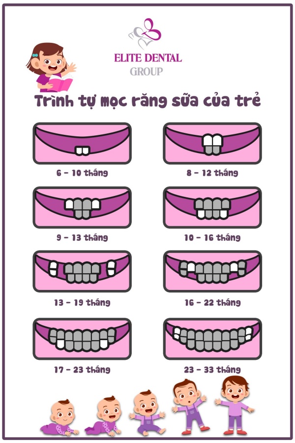 Trẻ chậm mọc răng thiếu chất gì? Gallery 2