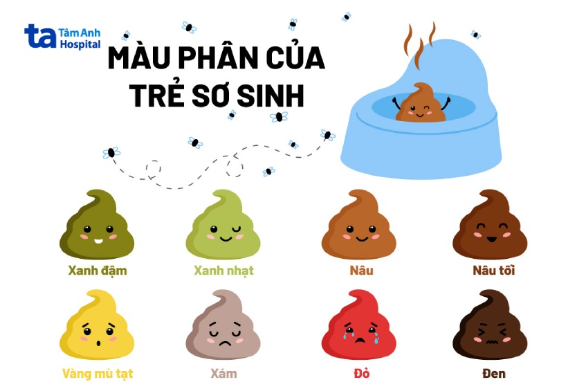 Trẻ Đi Ngoài Màu Bã Trầu: Nguyên Nhân và Cách Xử Lý