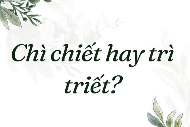 Trì Chiết Là Gì? Hướng Dẫn Chi Tiết