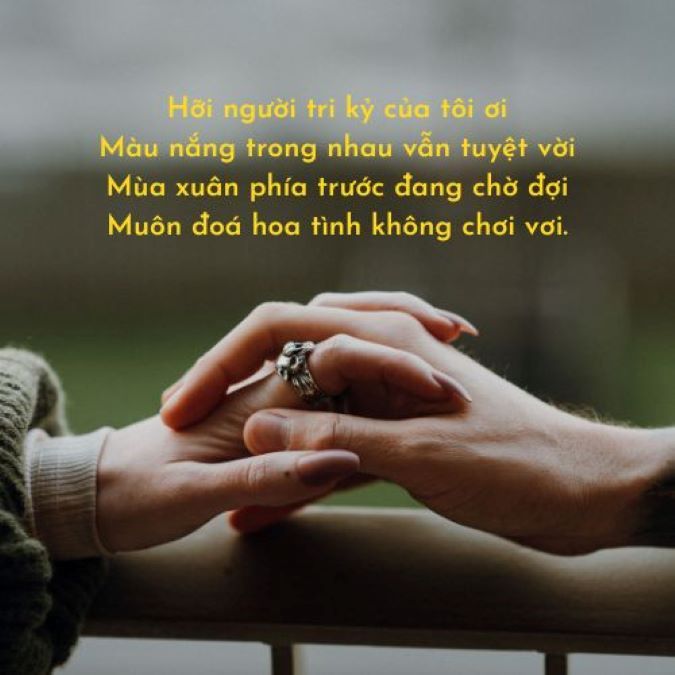 Tri Kỉ Là Gì? Gallery 2