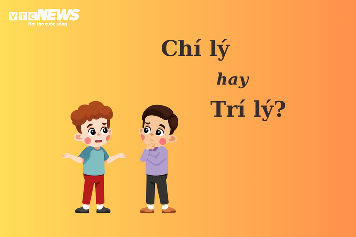 Trí lý hay chí lý?