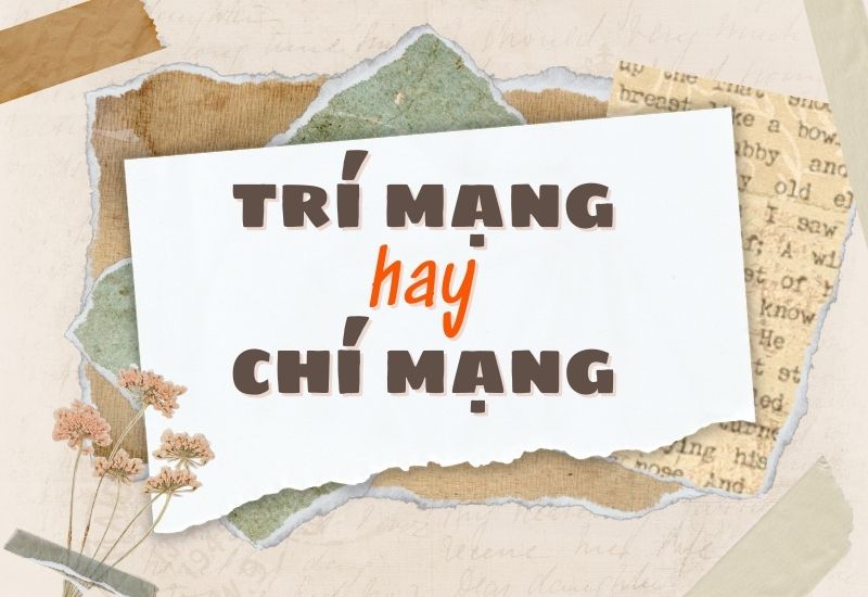 Trí mạng hay Chí mạng? Gallery 2