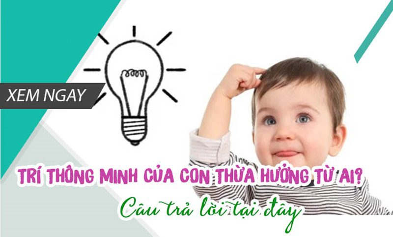 Trí thông minh của con thừa hưởng từ ai?