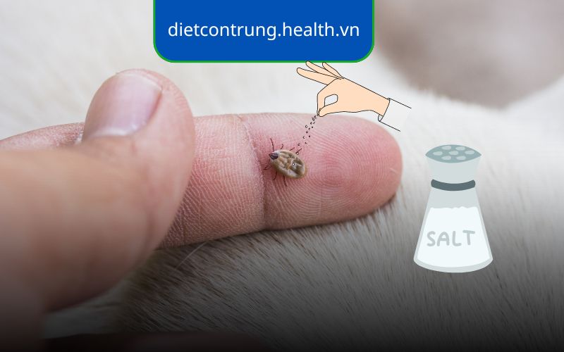 Trị Ve Chó Bằng Muối Có Hiệu Quả Không?