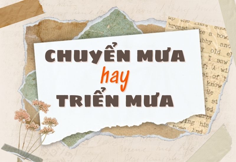 Triển Mưa Là Gì?