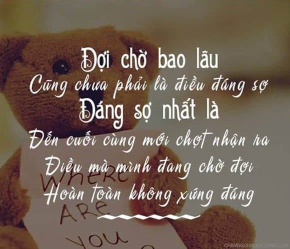 Triết lý cuộc sống và tình yêu: Hạnh phúc đích thực nằm ở đâu?