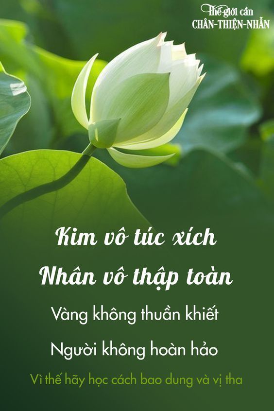 Triết lý sống đẹp: Tìm kiếm ý nghĩa và hạnh phúc đích thực
