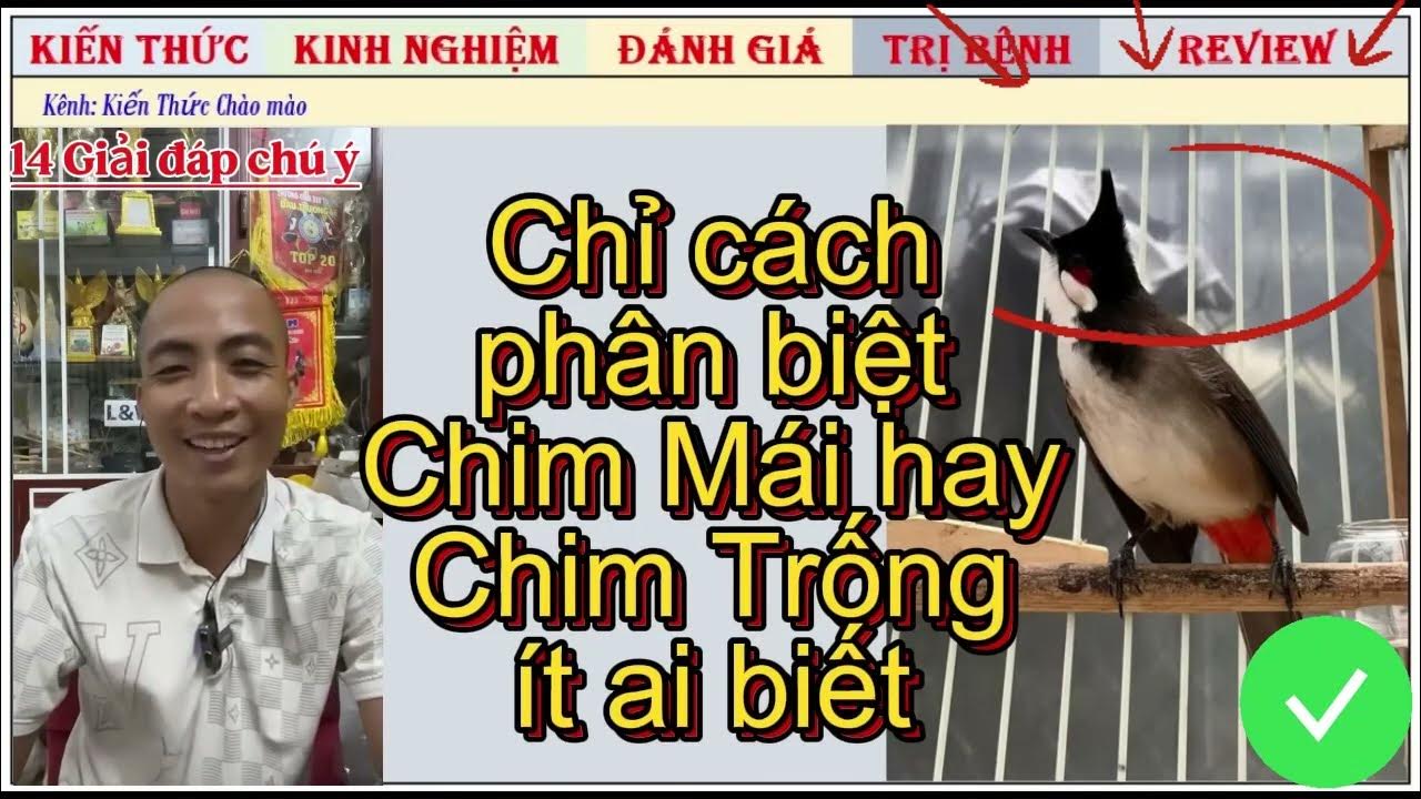 Chào Mào Bị Ho Mãn Tính: Nguyên Nhân, Triệu Chứng & Cách Điều Trị Gallery 2