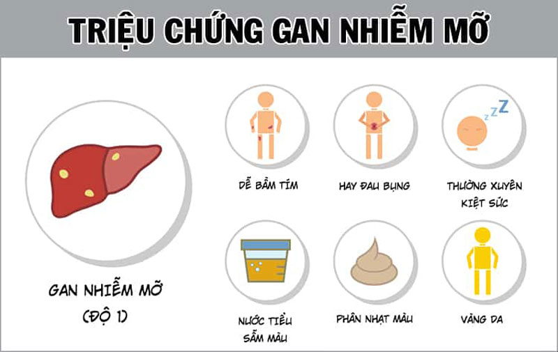 Dửng mỡ là gì? Nguyên nhân, cách phòng ngừa và điều trị Gallery 2