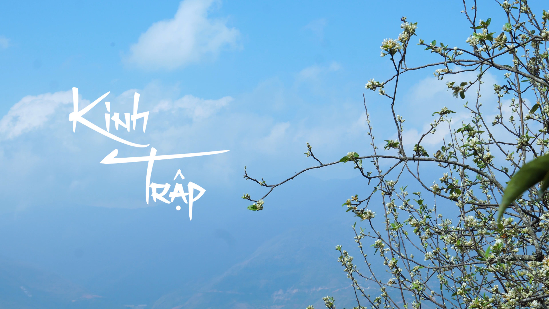 Kinh Trập Là Gì? Gallery 2
