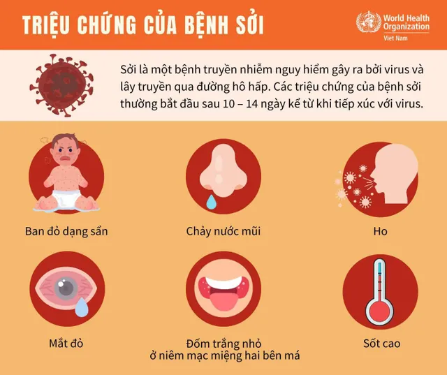 Lỏi Sỏi Là Gì? Gallery 2