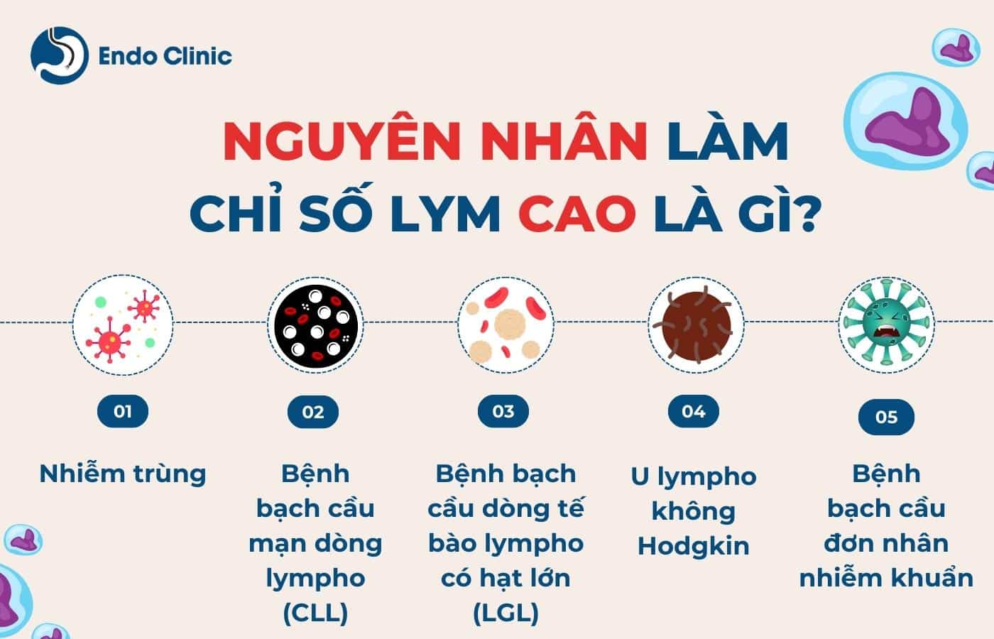 Lym cao là gì? Gallery 2