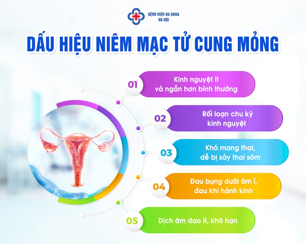 Niêm mạc tử cung mỏng: Nguyên nhân, triệu chứng và cách điều trị Gallery 2