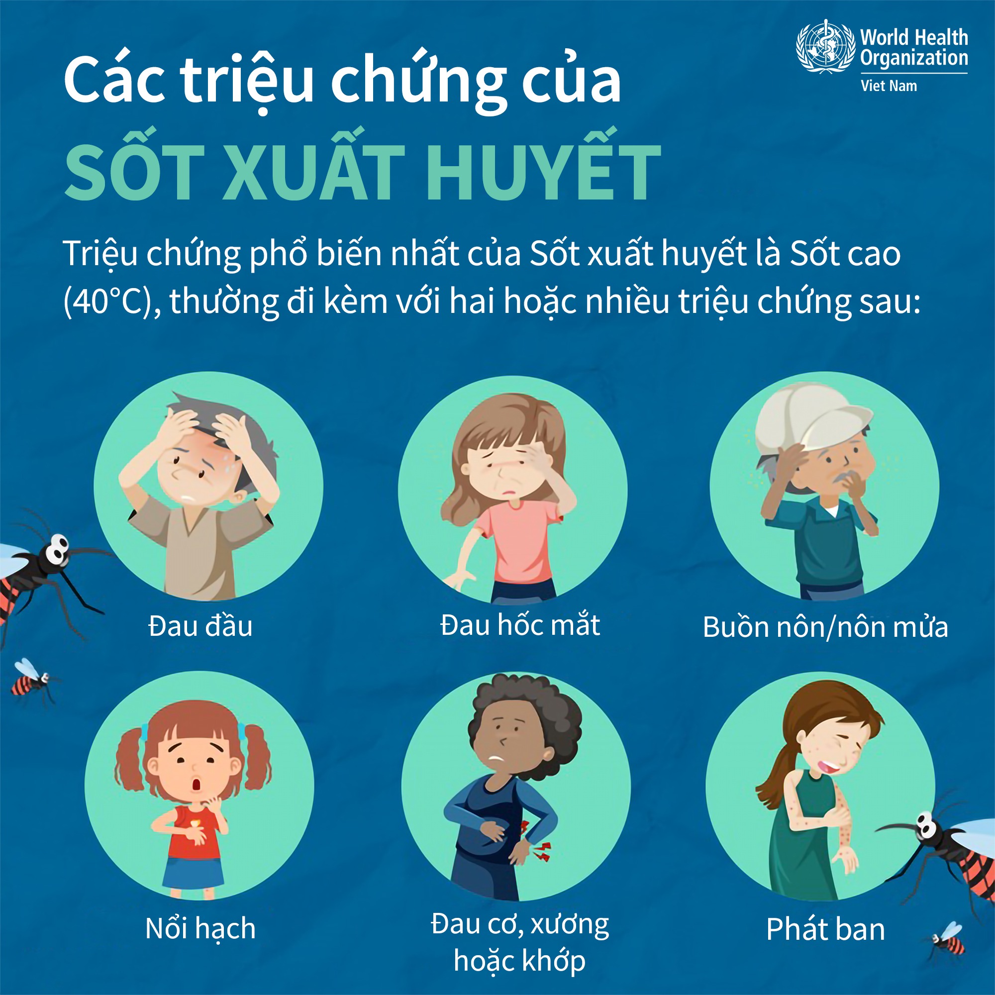 Sốt vó là gì? Gallery 2
