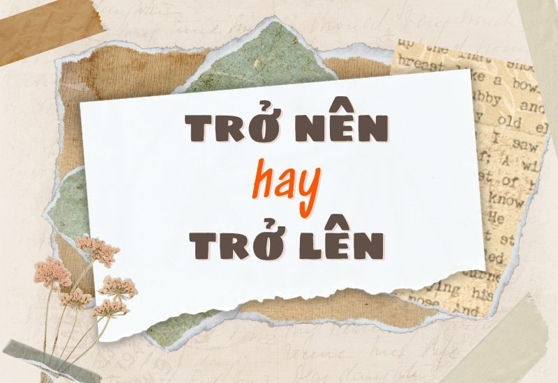Trở Lên Là Gì? Gallery 2