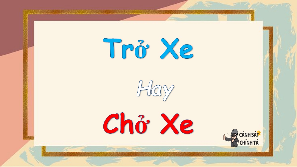 Trở Xe: Thông tin chi tiết về dịch vụ vận chuyển hàng hóa