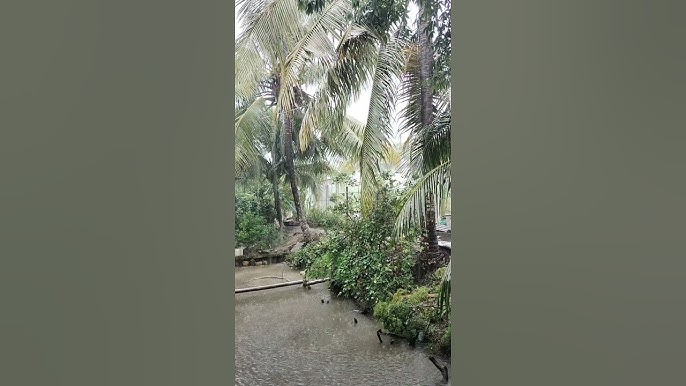 Trời Gầm Hay Rầm? Gallery 1