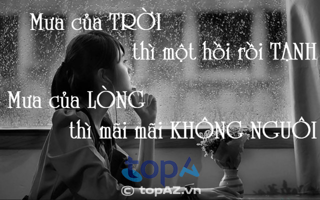 Trời sẽ tạnh khi không có mưa Gallery 1