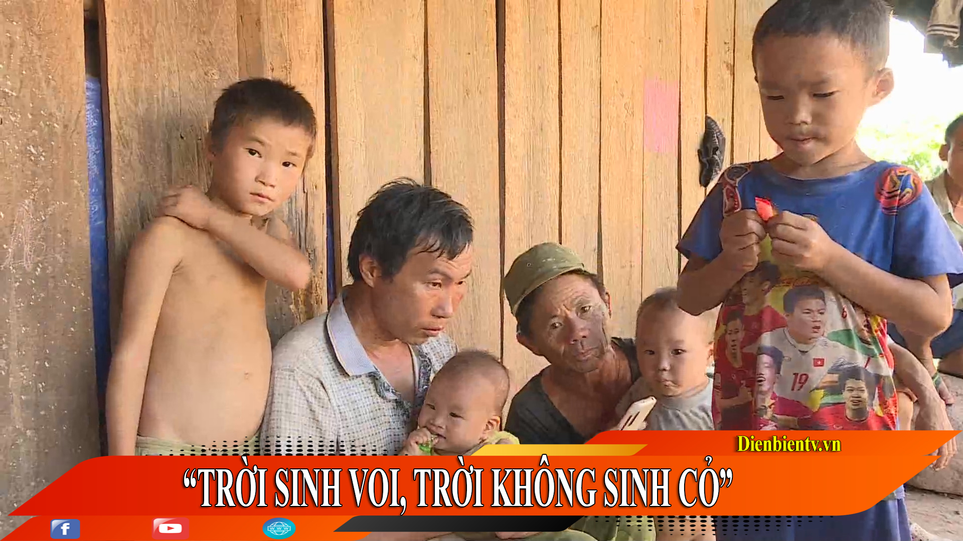 Trời sinh voi trời sinh cỏ nghĩa là gì? Gallery 2