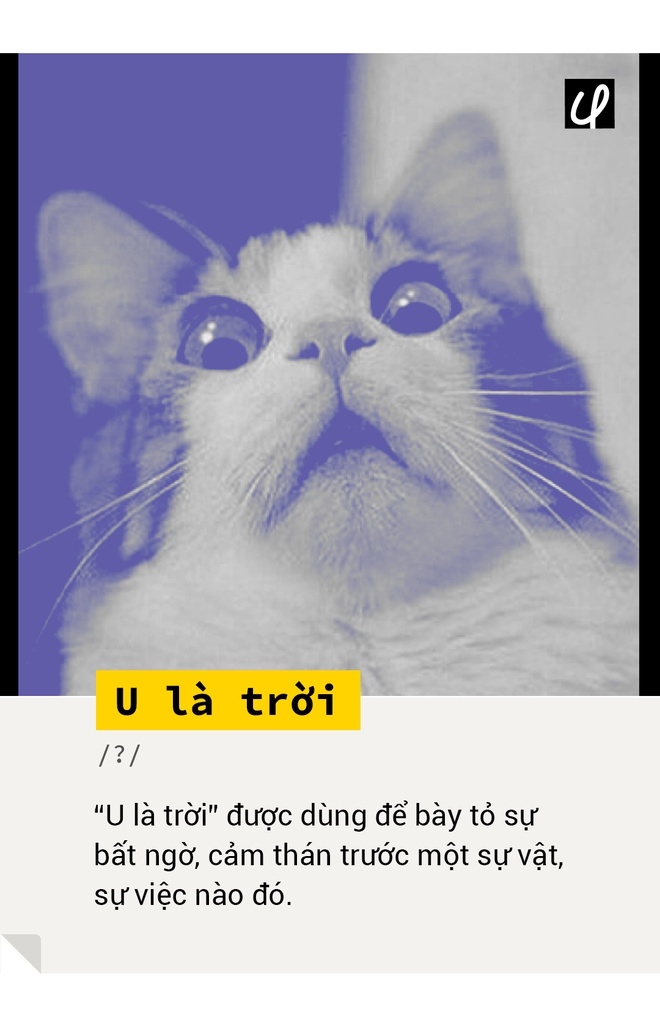 Trời ui ui là gì?