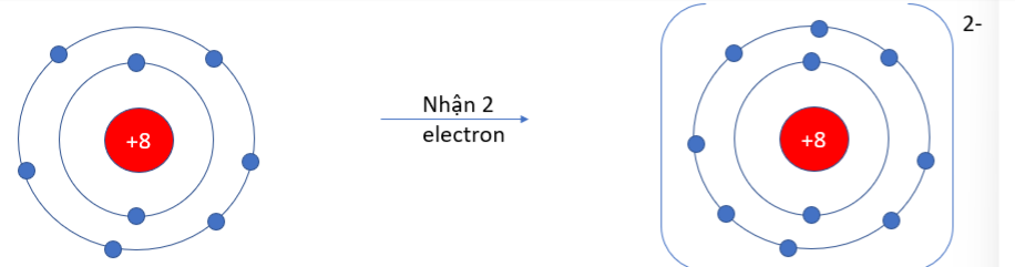 Trong các phản ứng hóa học, nguyên tử phi kim có khuynh hướng gì? Gallery 2