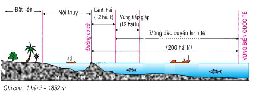 Vùng biển nào có diện tích lớn nhất?