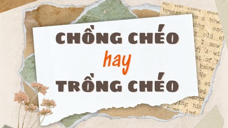Trồng Chéo Là Gì? Hướng Dẫn Chi Tiết Và Ưu Điểm
