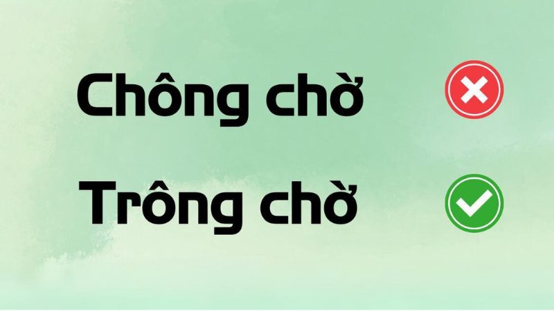 Trông Chờ Là Gì?