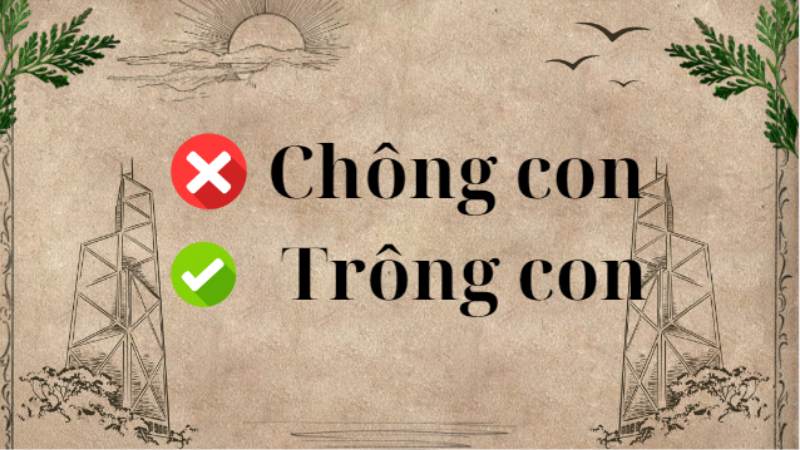 Trông Con Hay Chồng Con?