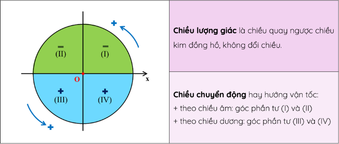 Trong Dao Động Điều Hòa, Chất Điểm Đổi Chiều Chuyển Động Khi Nào?