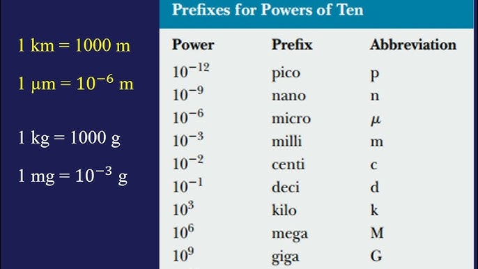 Đơn vị của động lượng trong hệ SI là gì? Gallery 2
