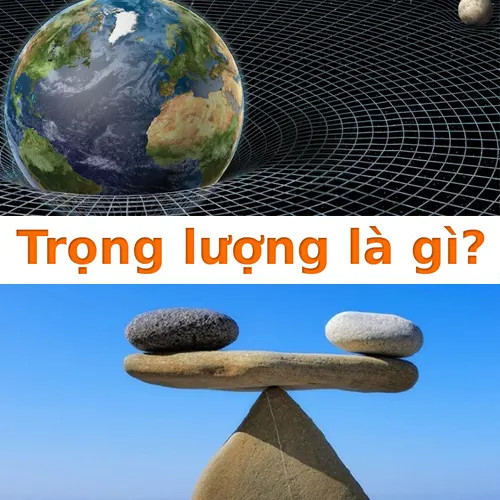 Trọng lượng là gì?