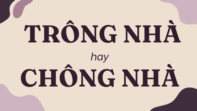 Trông Nhà Hay Chông Nhà?