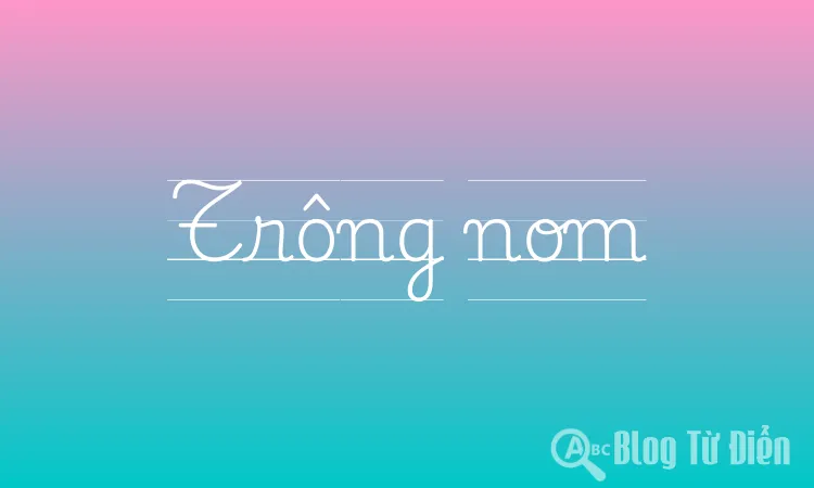 Trông Nom Là Gì? Gallery 1