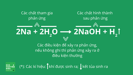 Trong phản ứng hóa học là gì? Gallery 2