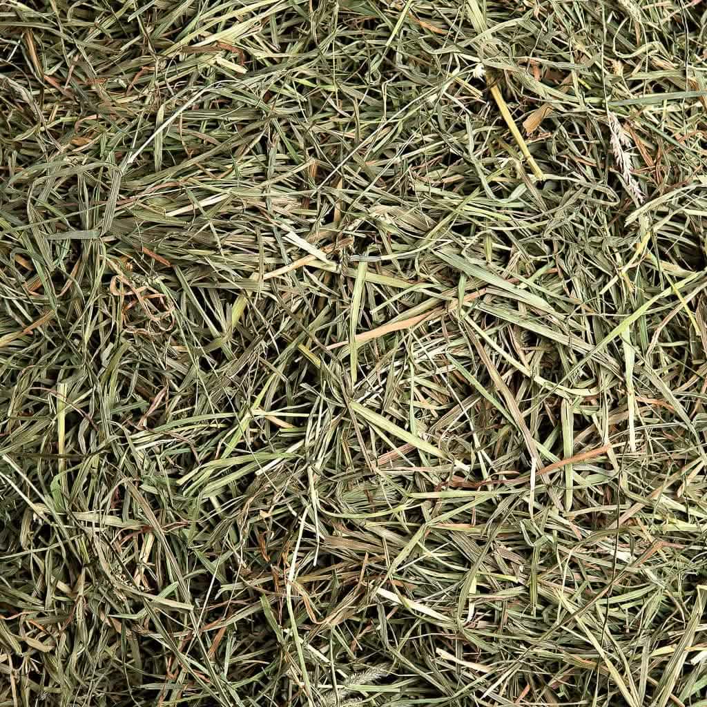 Trót hay Chót? Sử dụng từ nào cho đúng ngữ cảnh? Gallery 2