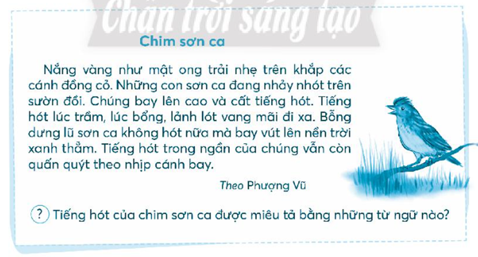 Trưa mùa hè nắng vàng như mật ong