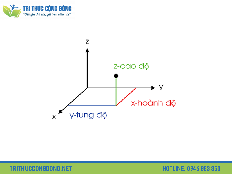 Trục hoành là x hay y? Gallery 2