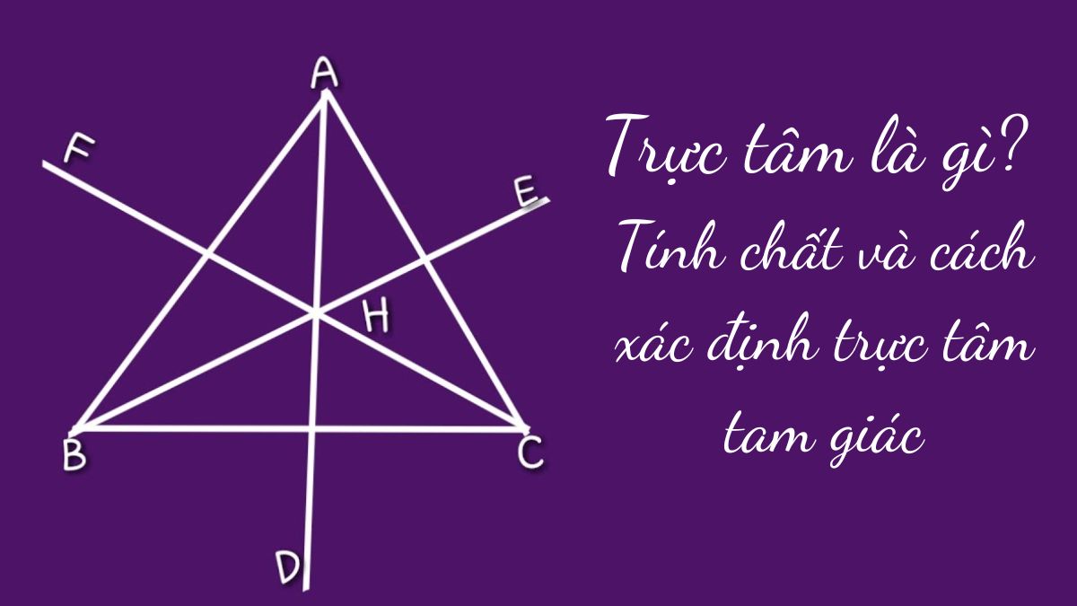 Trực Tâm Là Gì? Gallery 2