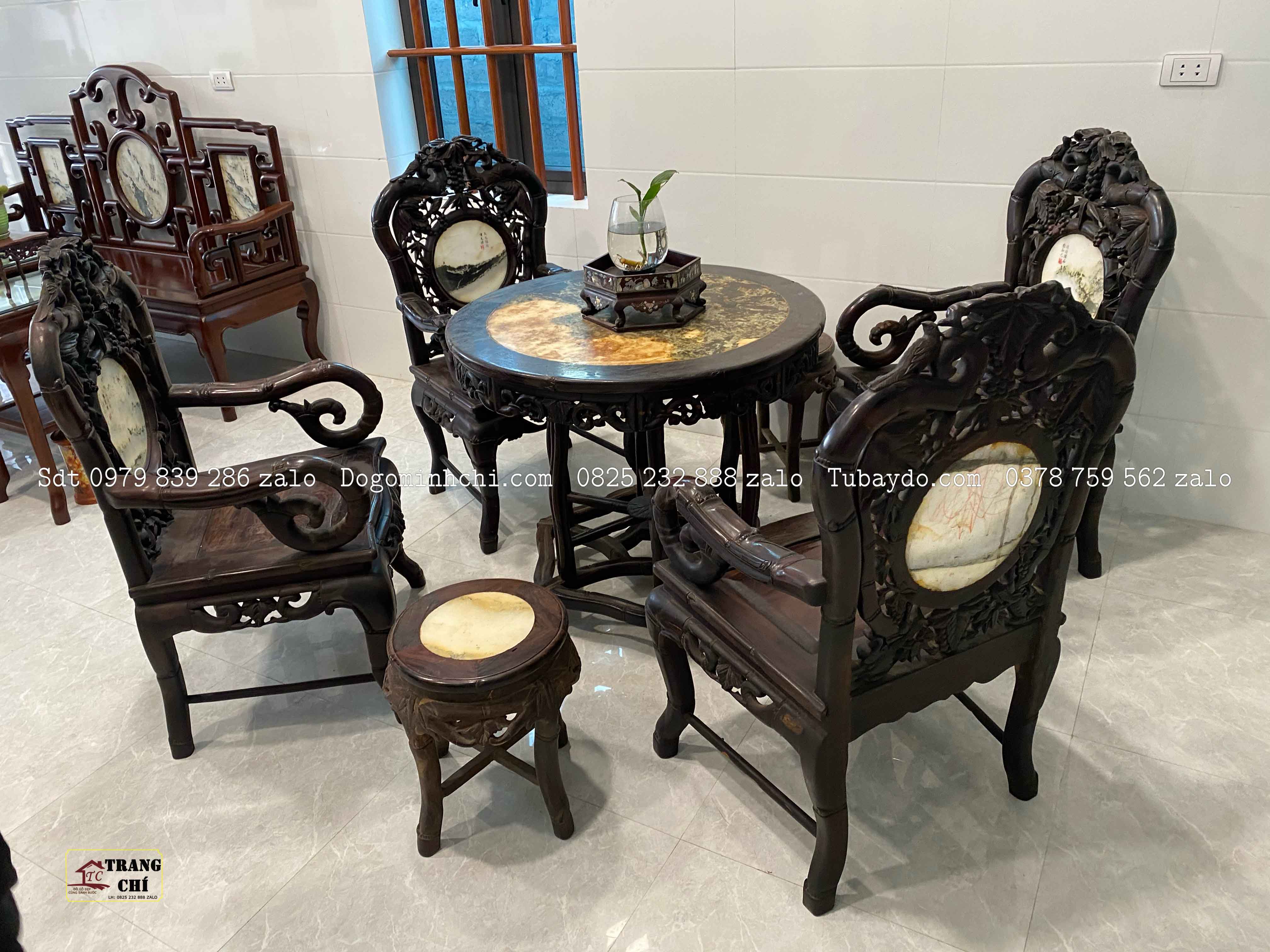Trúc Trắc là gì? Giải đáp chi tiết về loại cây này