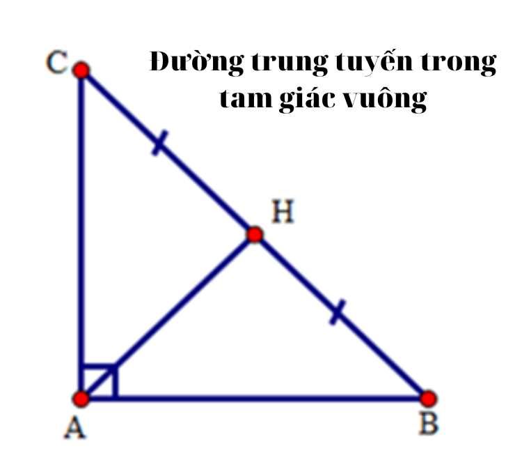 Trung Đường Là Gì?