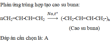 Trùng hợp cao su Buna