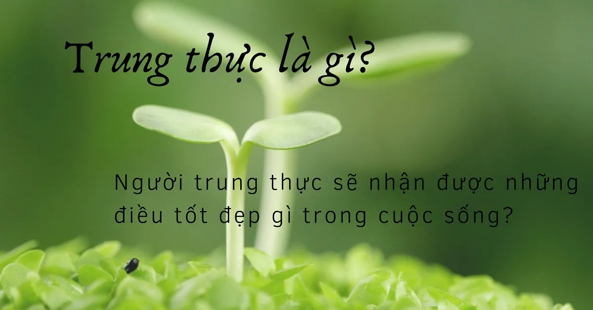 Trung thực là gì? Gallery 2