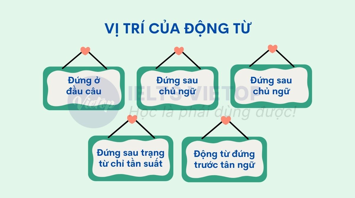 Trước động từ là loại từ gì? Gallery 2