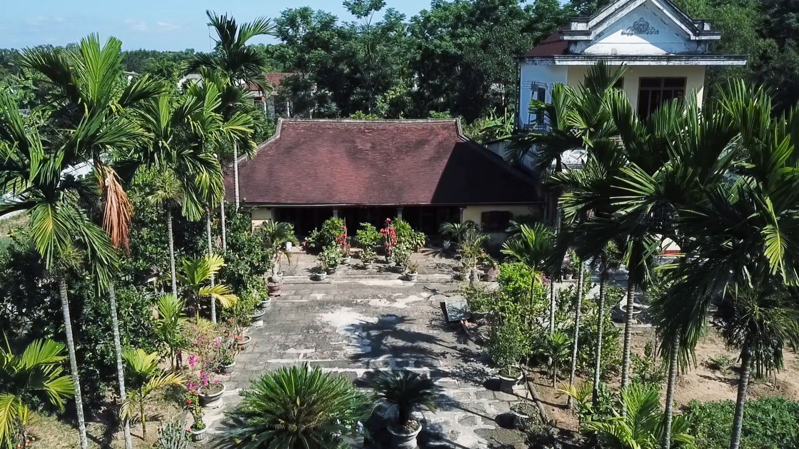 Trước trồng cau sau trồng chuối