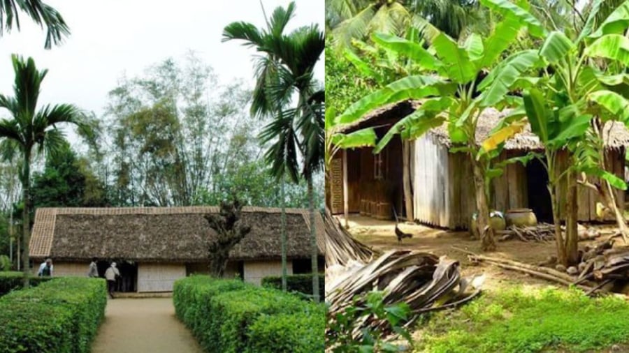 Trước trồng cau sau trồng chuối Gallery 2