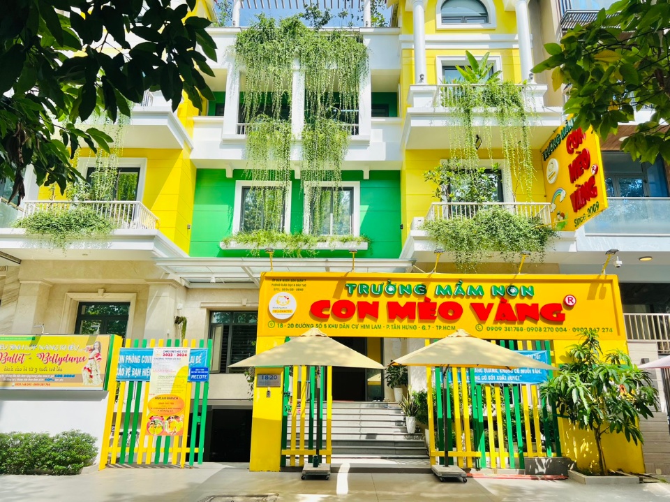 Trường Mầm Non Con Mèo Vàng - Nơi Nuôi Dưỡng Tương Lai Bé Yêu
