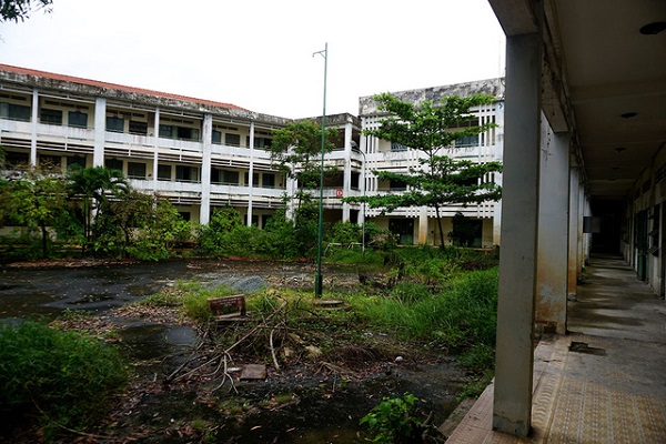 Trường Tiểu học Trần Văn Kiểu Gallery 2